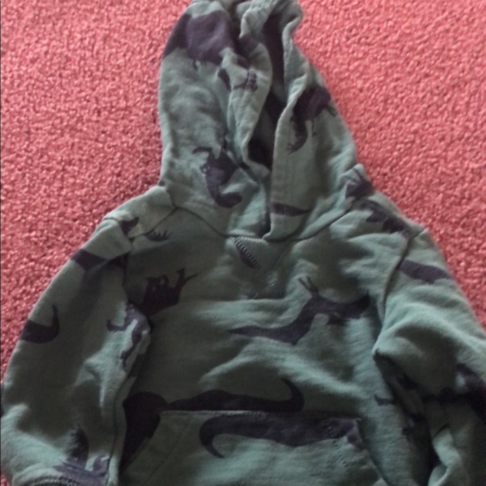 Toddler boy dark green with black dinosaur